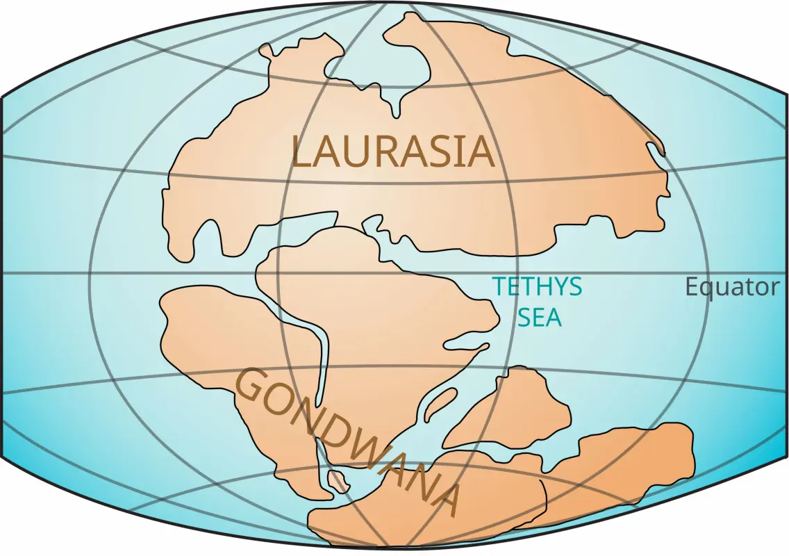 Laurasia and Gondwana Supercontinents Laurasia (Angara Land) and Gondwana Land map