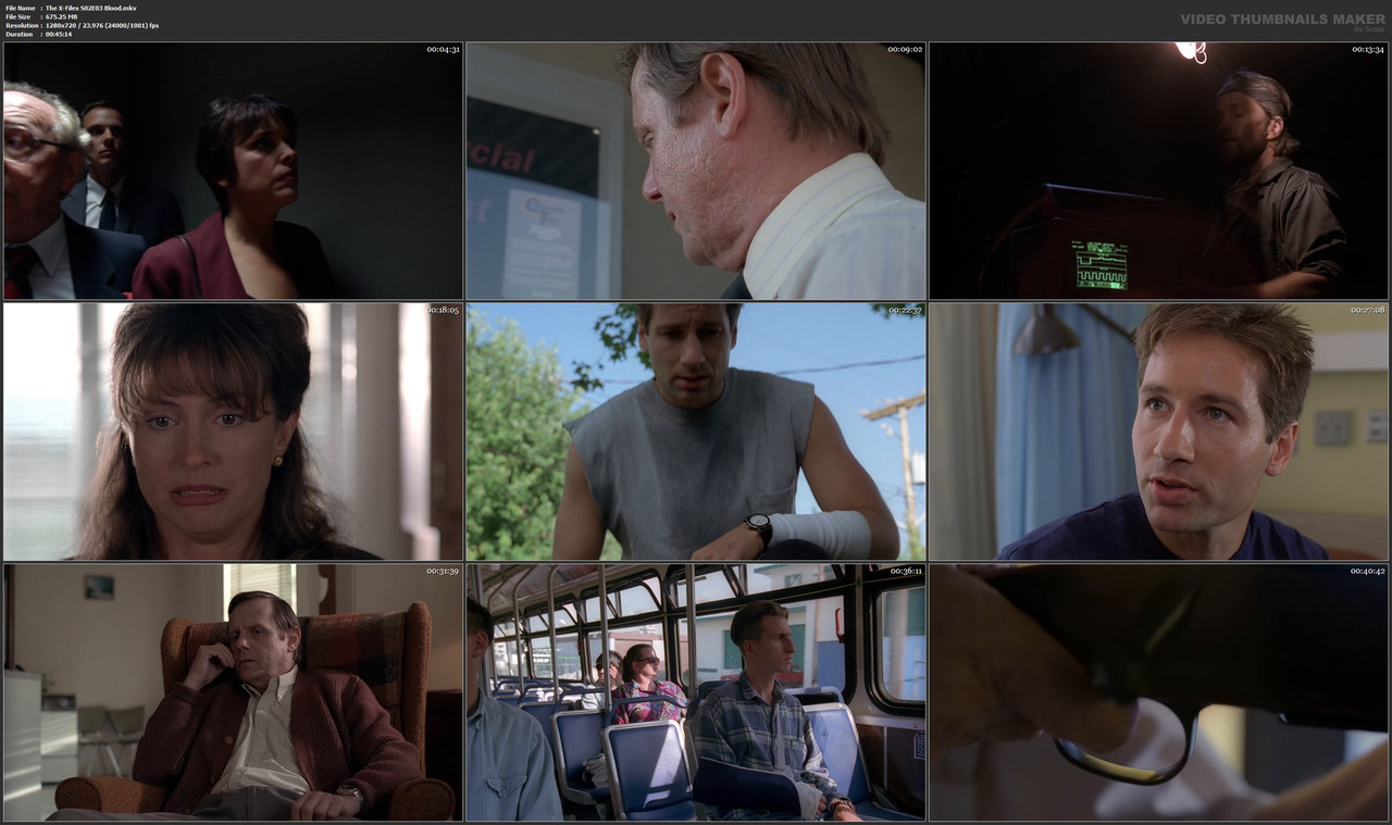 The X-Files S02E03 Blood.mkv