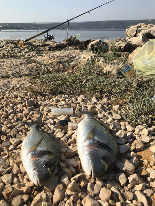 1AEF62EC-18AF-4C79-9270-2090A2AB5158