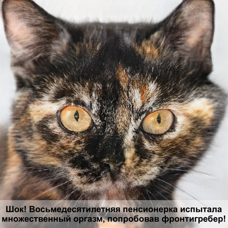 как стричь когти коту