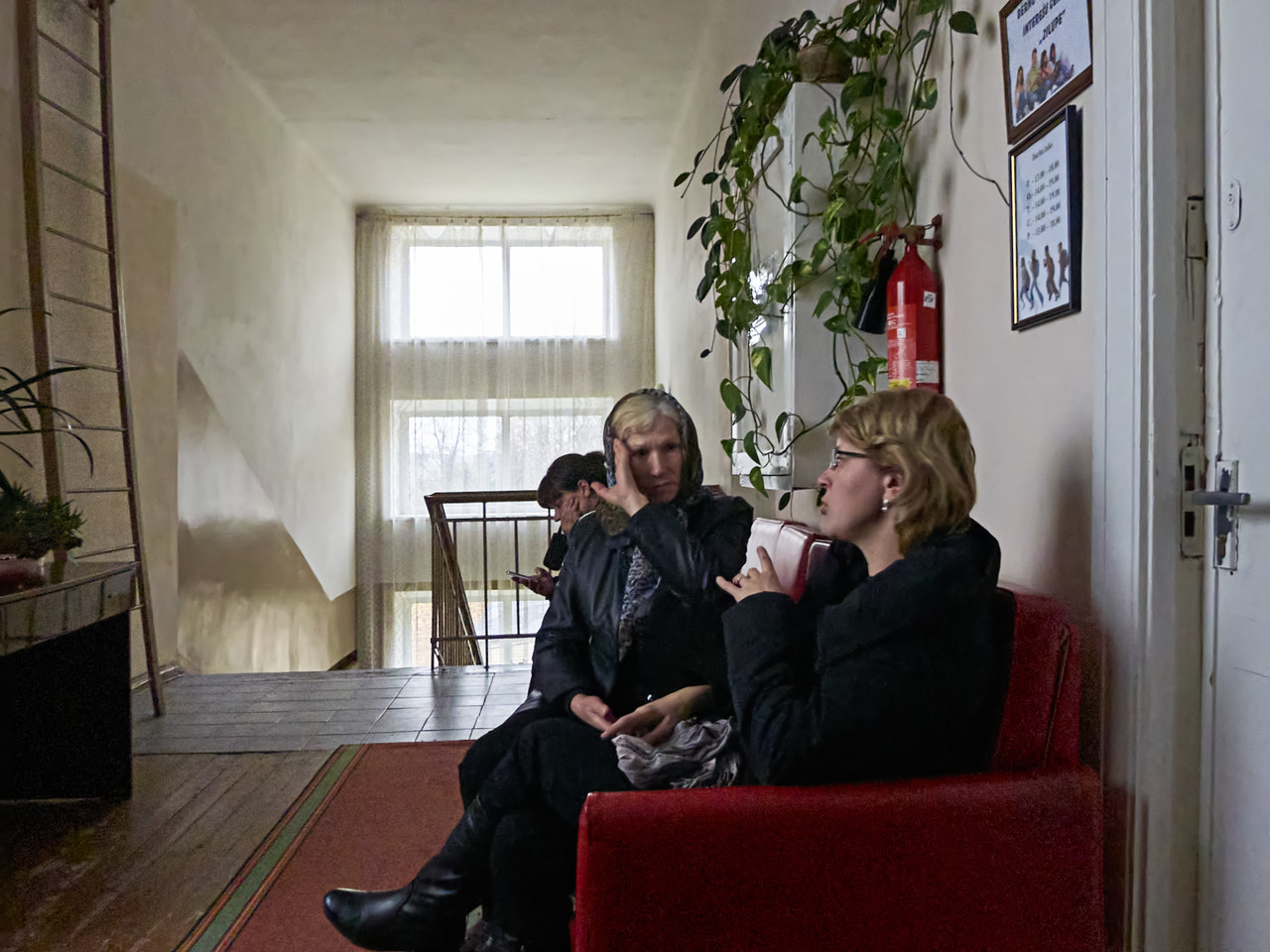 Cordante P1020461 1 c