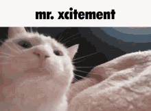 they-might-be-giants-mr-xcitment.gif