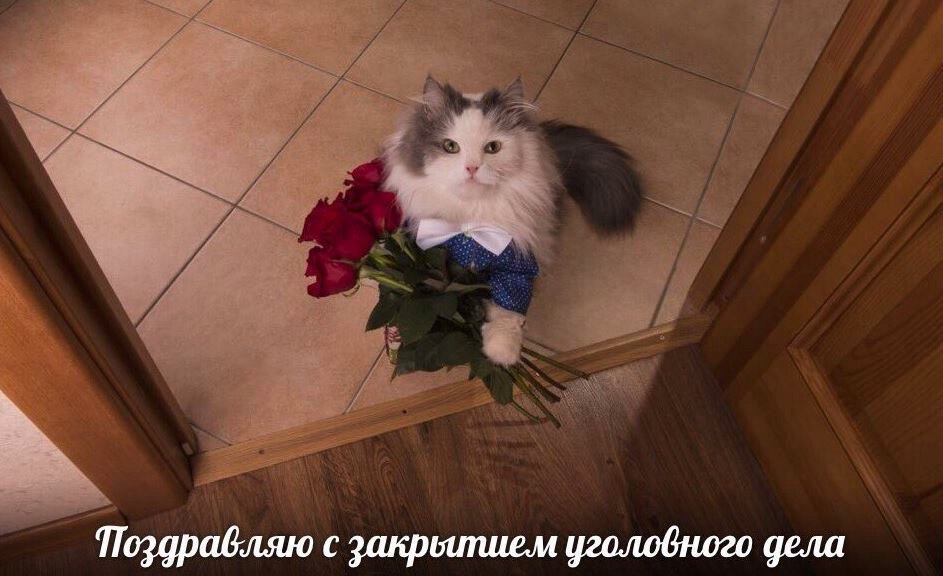 6102B328-82F3-4A16-BA81-D24265220FA4