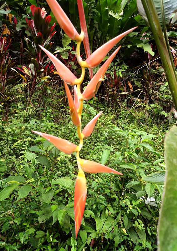 437570886_8693364017356771_5823561135470324654_n