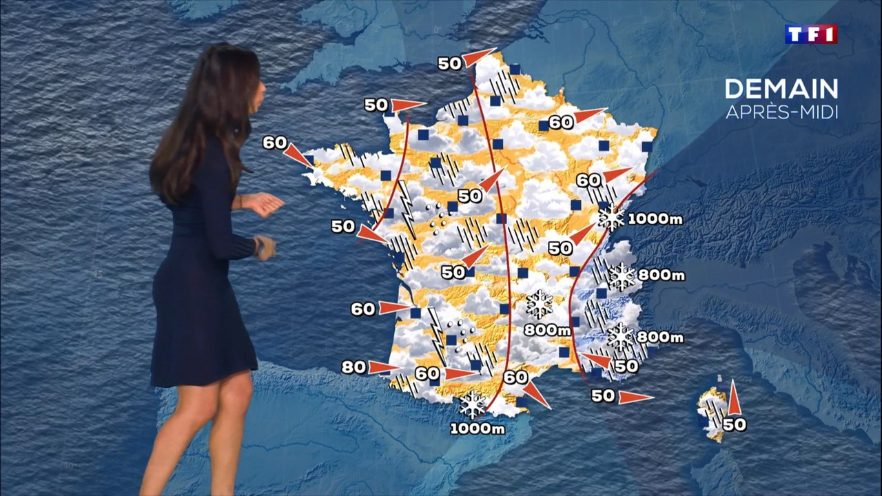 2022-02-13_20_00_TF1_Le-20h.mp4_snapshot_00.01.54.540