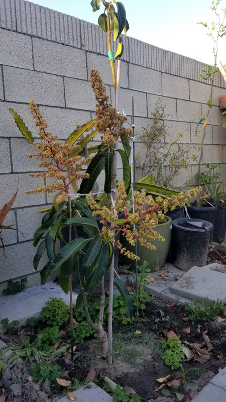 20190412_183339