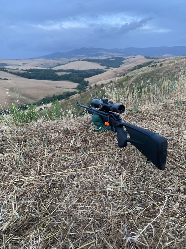 E9AE4E39-2B46-4810-8AF9-01451E14623B