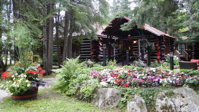 Algonquin - 3.000 km por el este de Canadá (9)