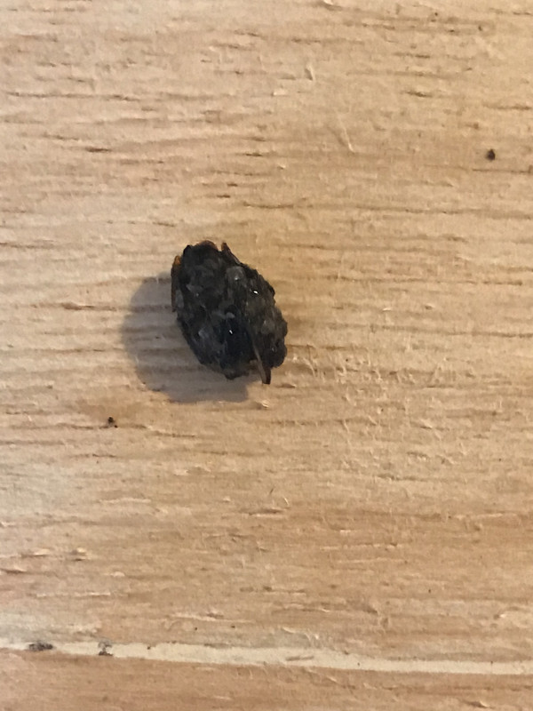 9BE0B4EC-81D7-4FB8-930C-F6BC579BB5AE