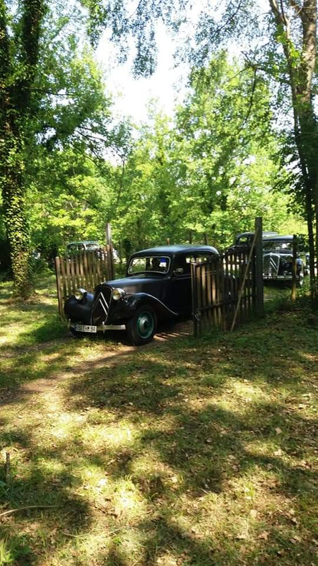 FB_IMG_1644306240030