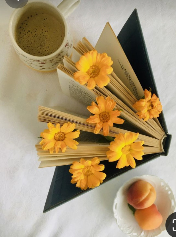 Screenshot_20240203_195438_Pinterest