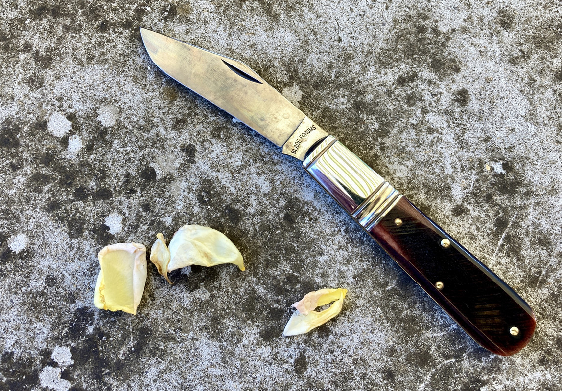 497B3276-E4A6-4F3C-9D95-33E0DD4130B7