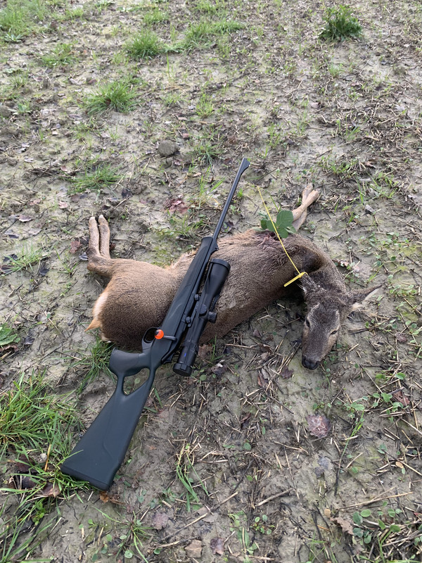 2A51AC7D-308E-4745-98A9-E5195338112A