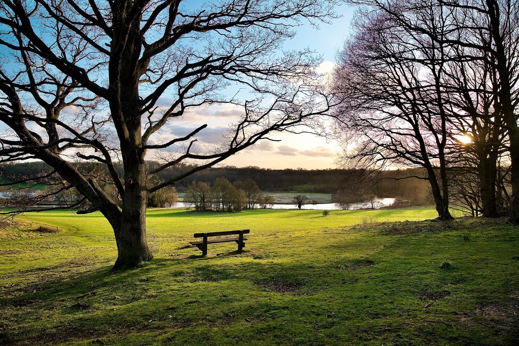 park-bench-lake-view-2.jpg