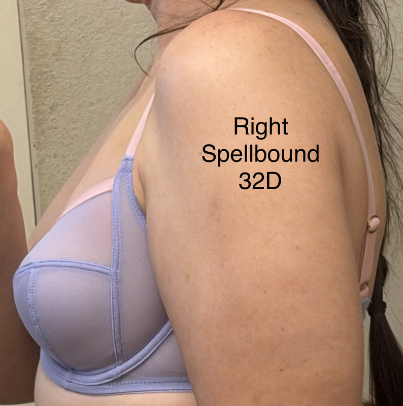 IMG 2875