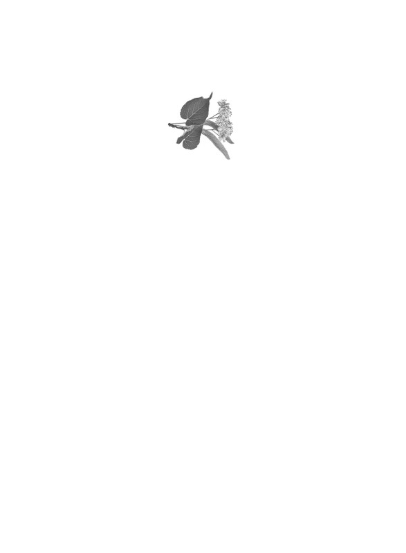 ITD000000001342003-page-0001