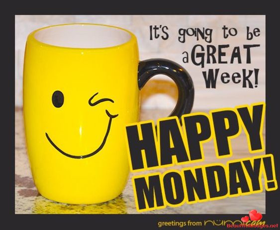 Good Morning, Good Afternoon, Good Evening, Good Night, Good Day! (#2)