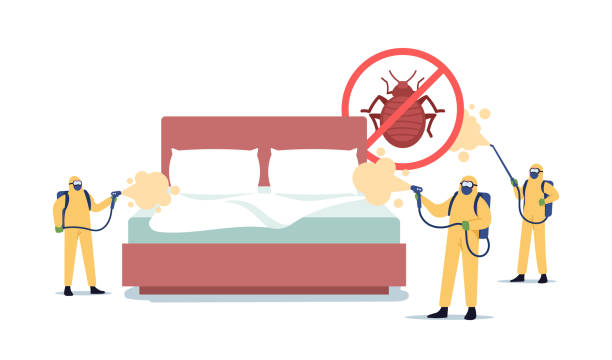 Kissimmee-Bed-Bug-Treatment-5.jpg