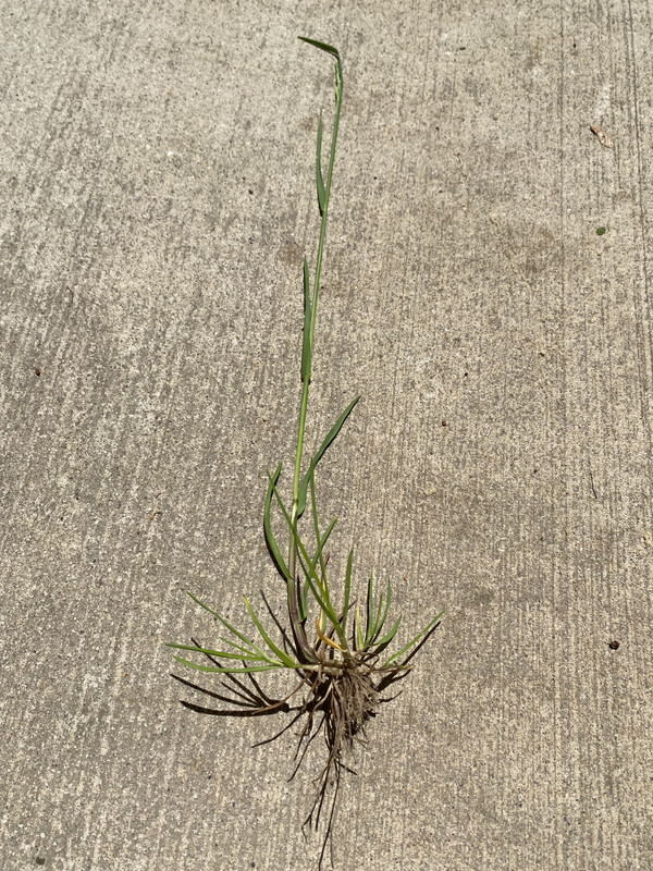 D474FF2B-D993-46B2-AD6F-2148DF3D7EE8