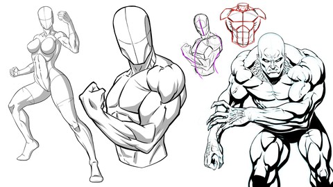 How to Draw Stylized Poses and Anatomy