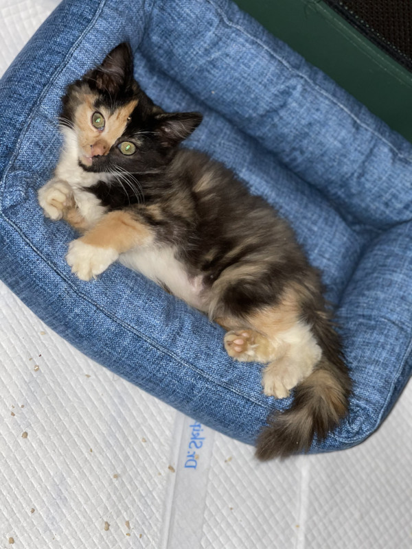 6009B954-CBA2-410B-AC01-90949AAEF6AD