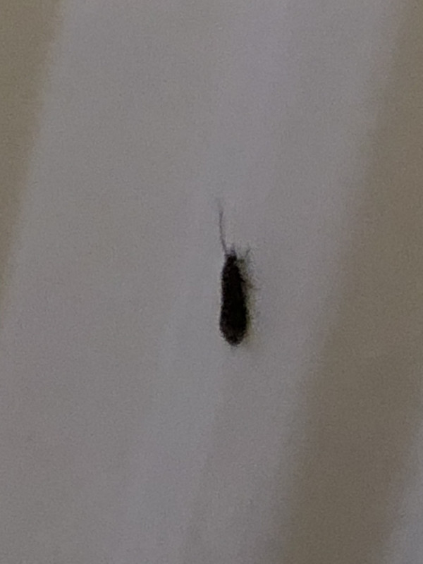 E9C146C2-46D4-471D-B2BC-884688821B11