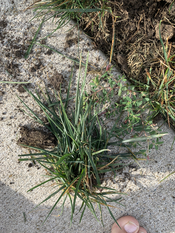 B88EB717-DD4C-475B-955E-51F14DAE5C6F