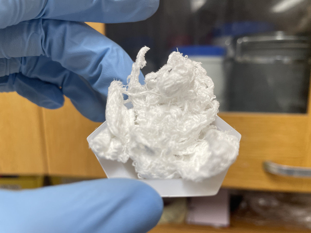 Commercial DNA (~2.5 grams)