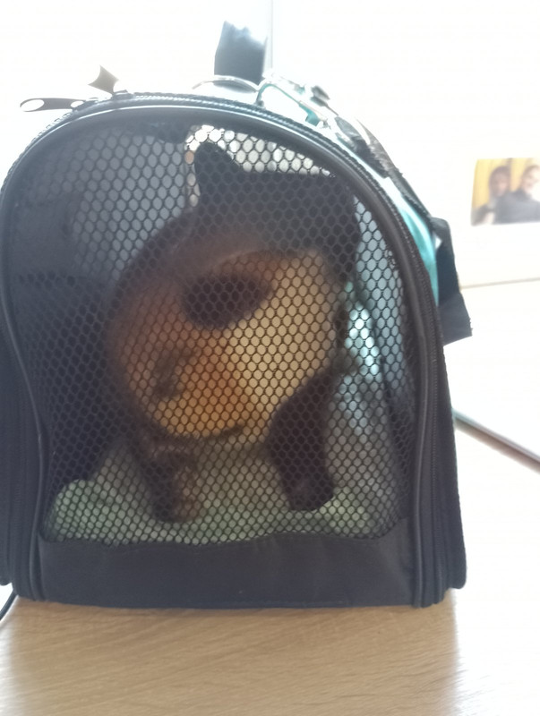 изображение_viber_2024-02-28_11-08-18-572