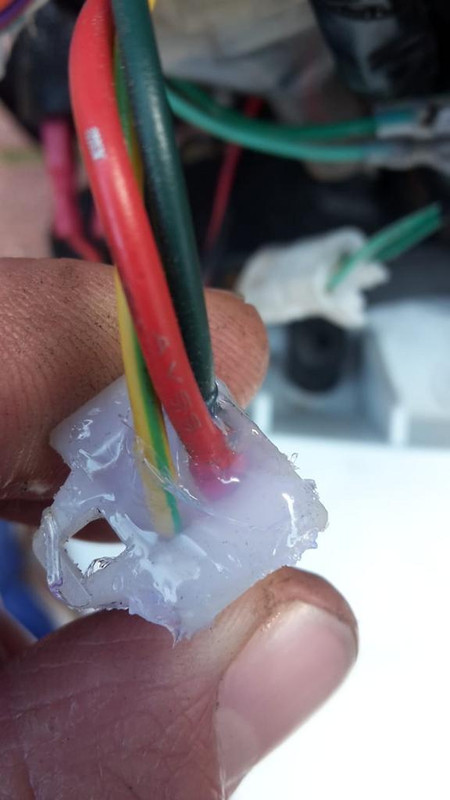 WhatsApp Image 2018-09-30 at 20.40.49(1)