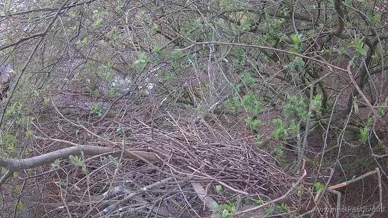 snapshot 2026 04 13T194757 035