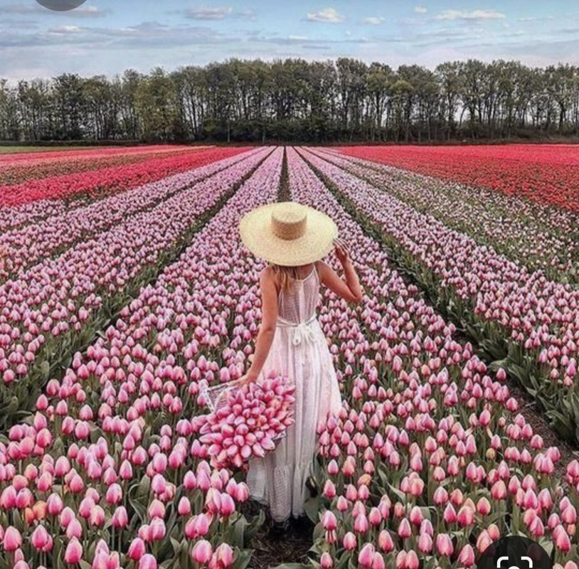 Screenshot_20230321_234257_Pinterest