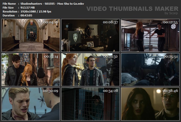 Shadowhunters S01E05 Moo Shu to Go mkv