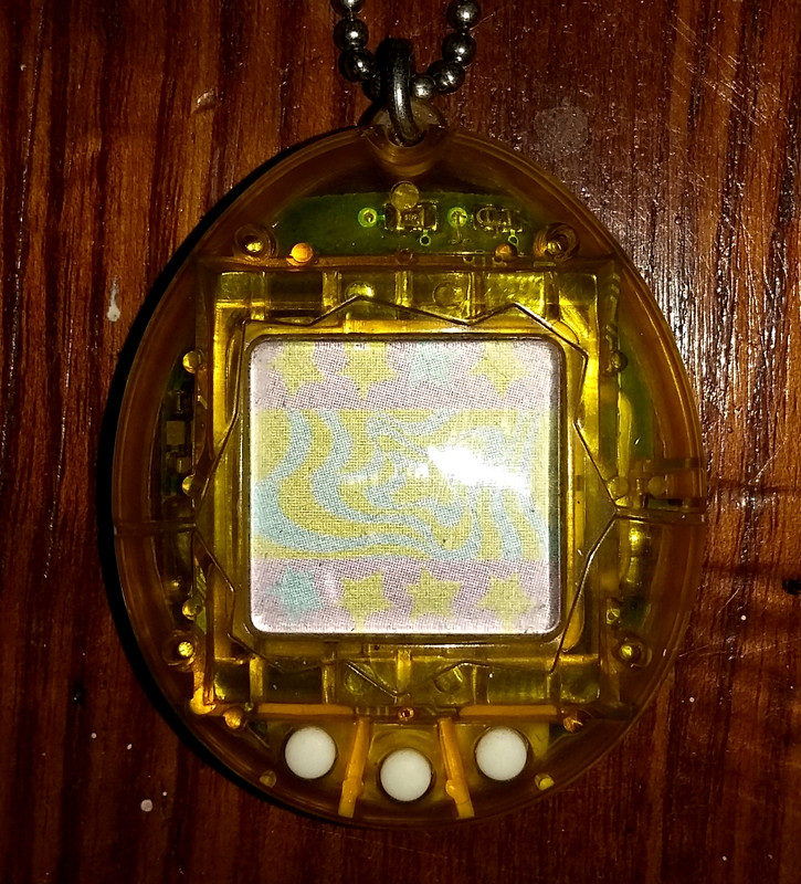 clear gold clear gold