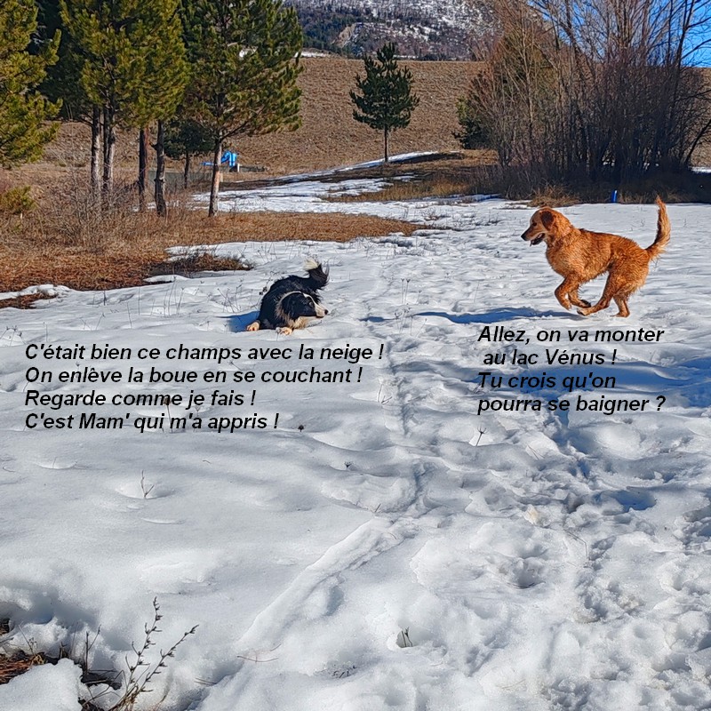 IMG-20260222-113944bb