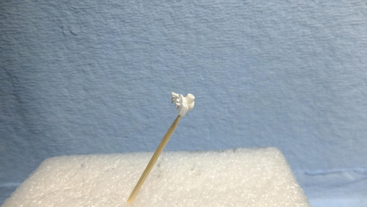 DSCF9880.JPG.110afd8f1a8e62a7f299ecc585262625