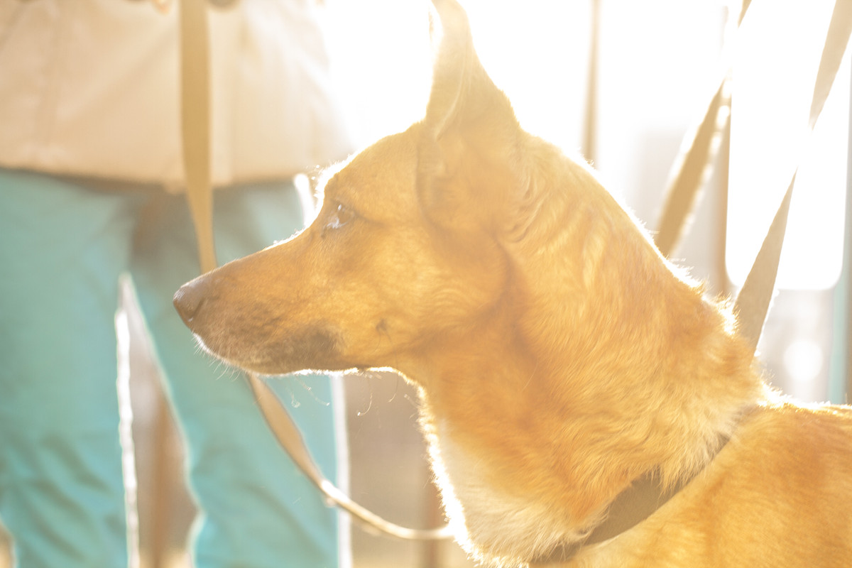 без имени-5296