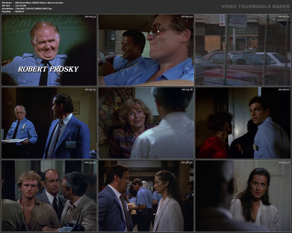 Hill Street Blues S05E02 Watt a Way to Go.mkv
