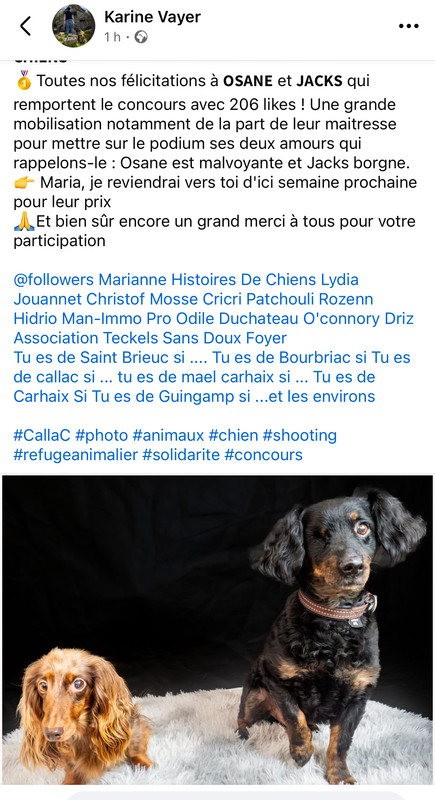 [Image: IMG-2210.jpg]