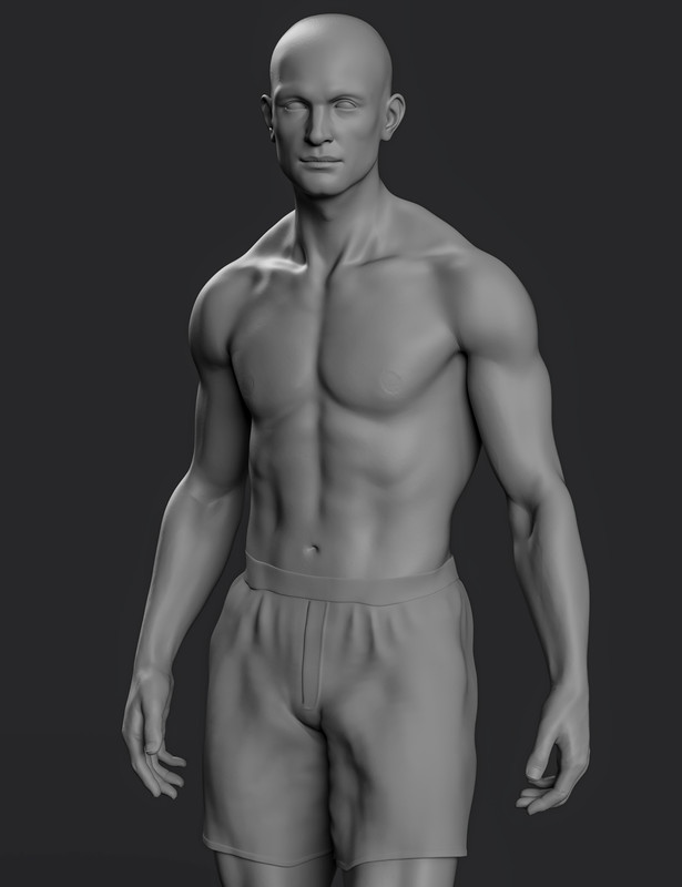Hans 8.1 HD Add-On Hans 8.1 HD Add-On