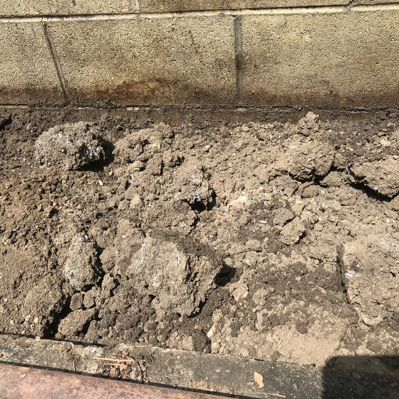 426B7CA5-D194-43D7-91DF-1A8633107891