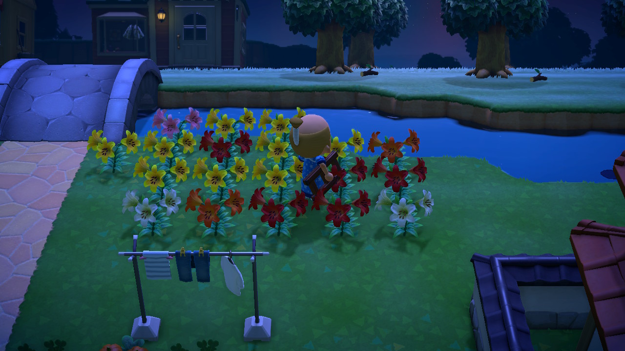 2023063022442000-02-CB906-EA538-A35643-C