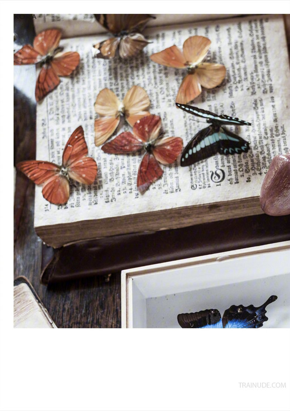 KORA Xperiment SP no.06 (Non-sex)