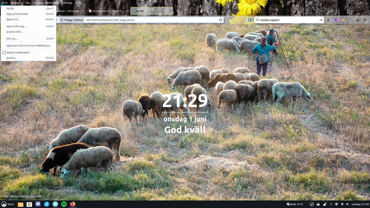 Skärmbild från 2022-06-01 21-29-58