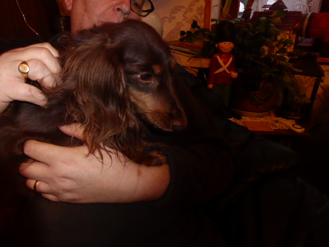 [Image: P1050746.jpg]