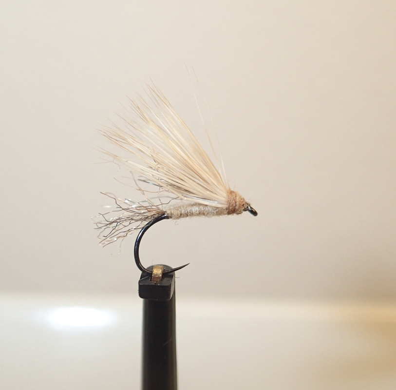 4ACCDF76-6B58-45BA-B097-515F9D7A59B7