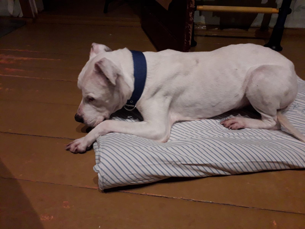 360FA33D-230C-4294-BF17-8786C1C3793A