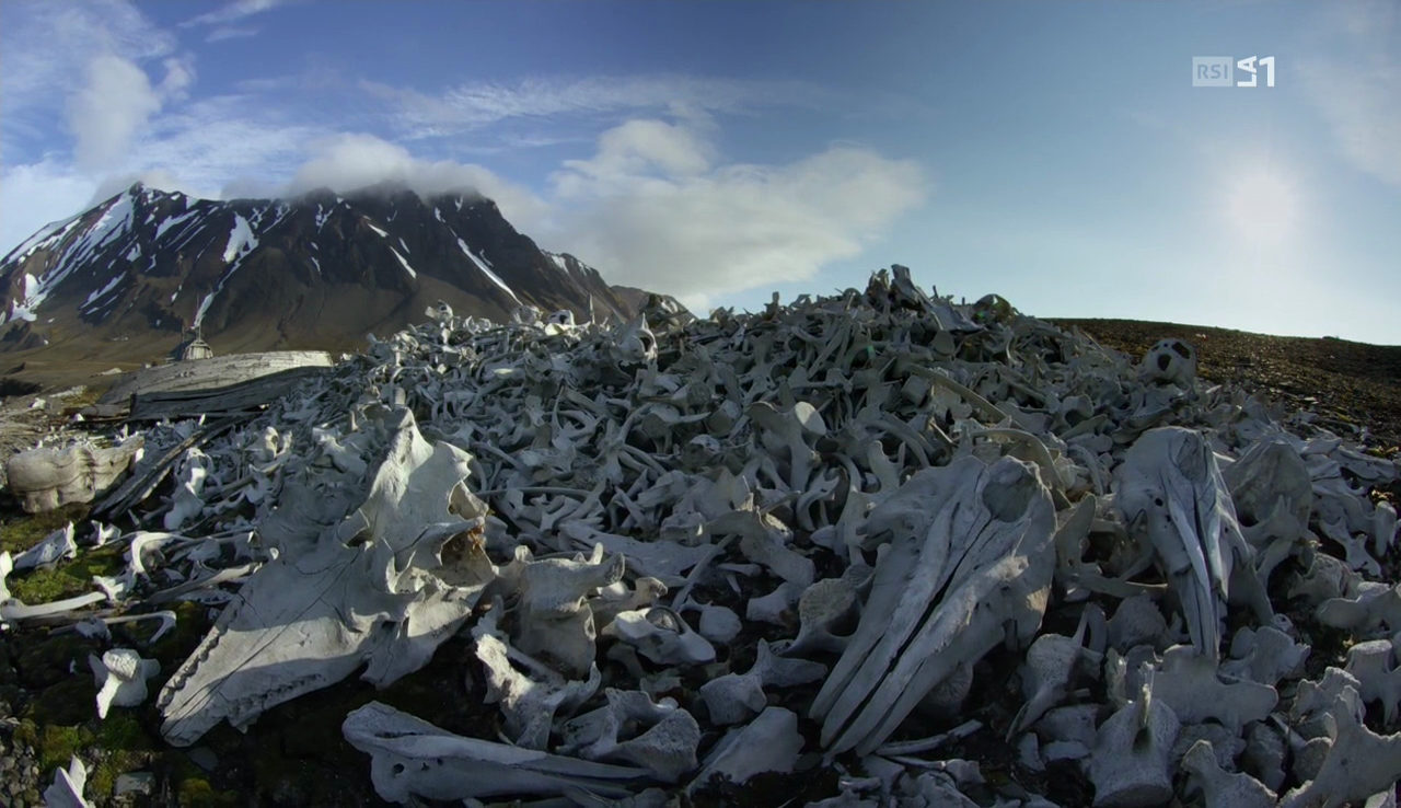 vlcsnap-2017-02-08-18h54m48s909