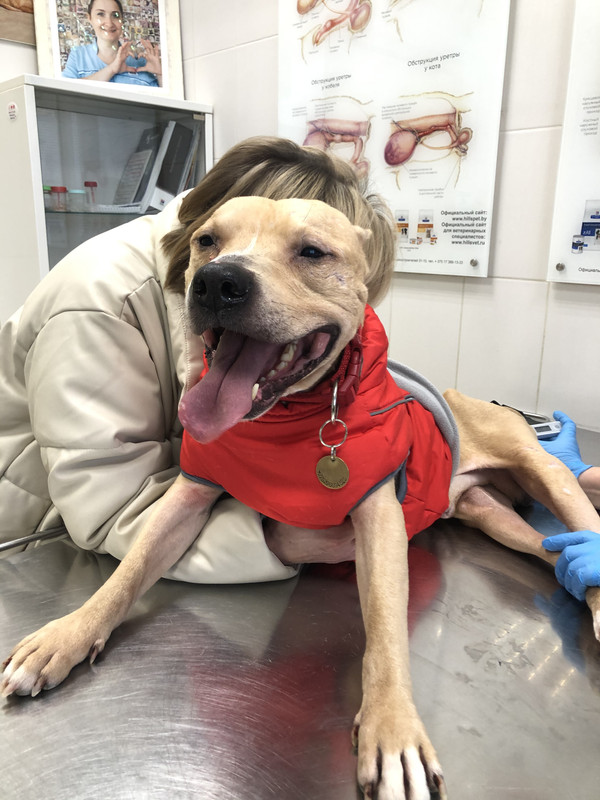 66CACD14-33AB-43EE-A50D-71117ABB6D01