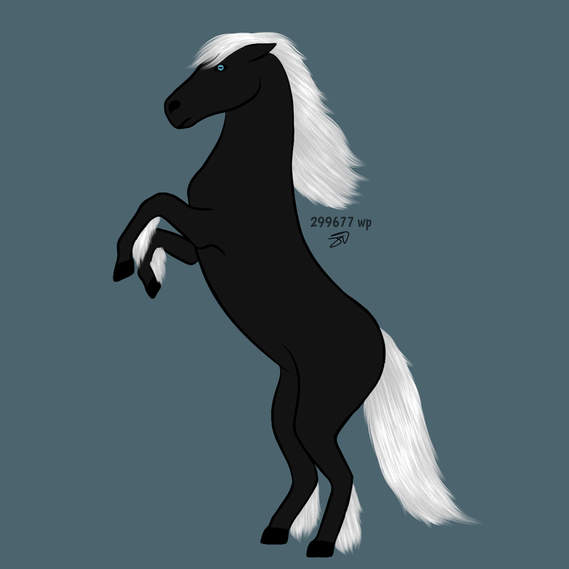 horse-contest-entry-1.png